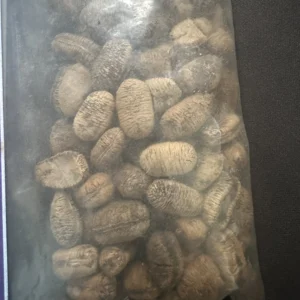 Bitter Kola Nuts