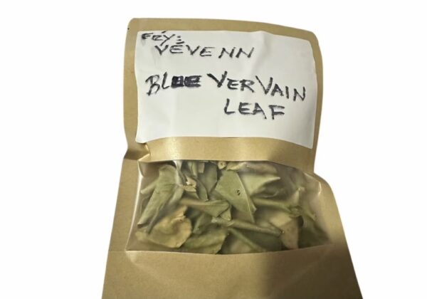 Blue Vervain - Image 2