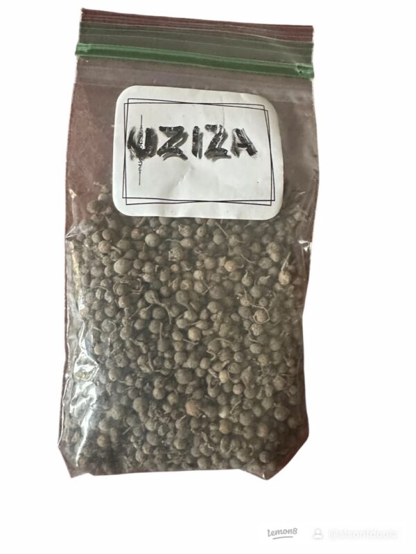 Uziza