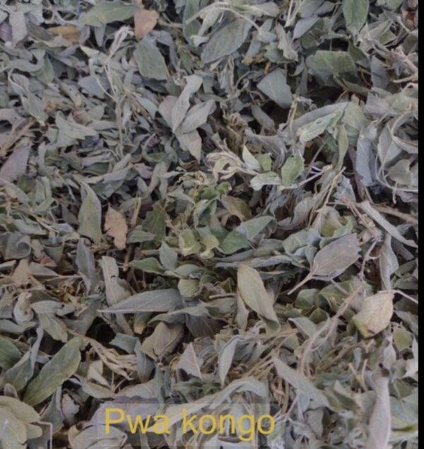 Pigeon Peas leaves - Image 2