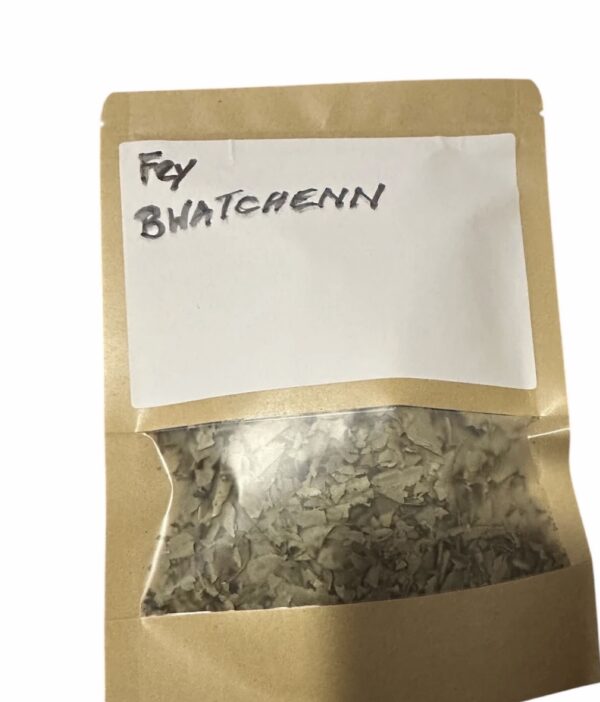 Fey Bwatchenn