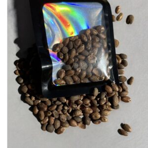 Cleanser Seeds