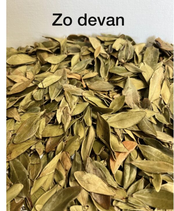 Zo Devan