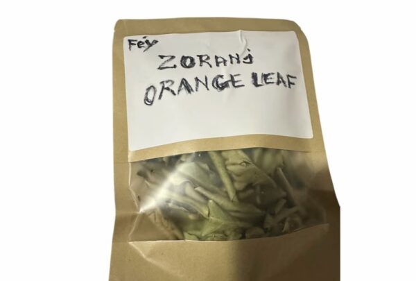 Orange Dry leaves