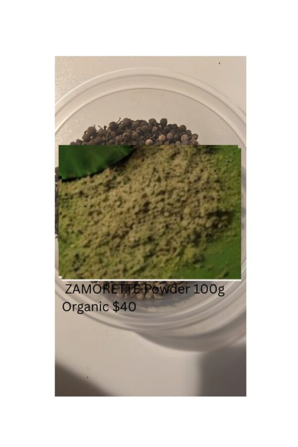 ZAMORETTE Benefits Fibroids Contains Flavonoids, Phenolic Compounds and Other antioxidants that help reduce Oxidative Stress in the Body. Oxidative Stress has been linked to the growth and development of fibroids.